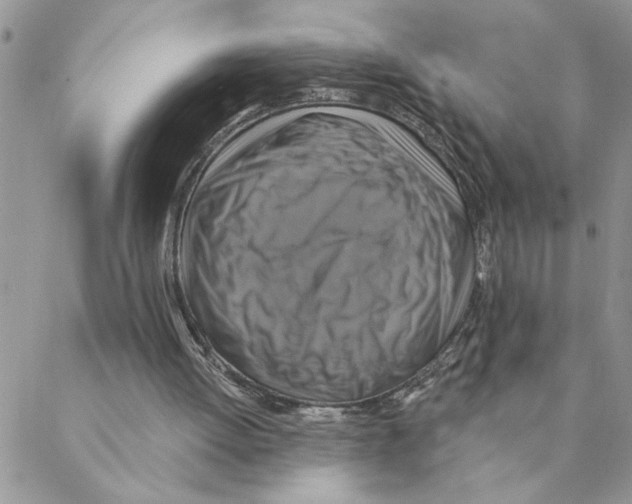 X0000088200052200706121750