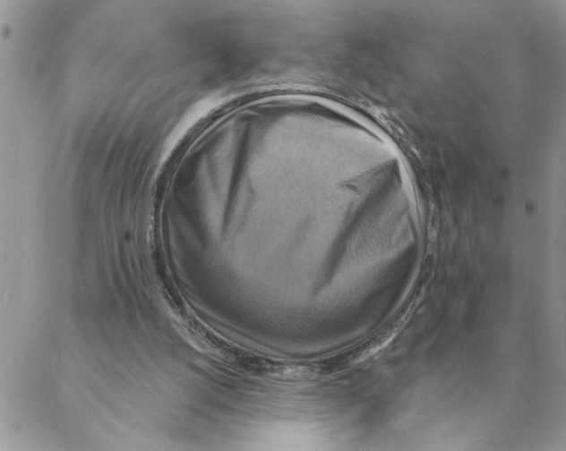 X0000088200056200706121751