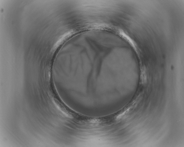 X0000088200059200706121751