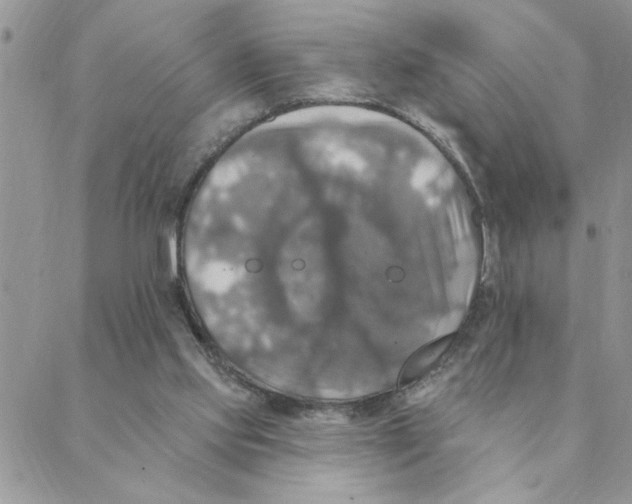 X0000088200061200706121751