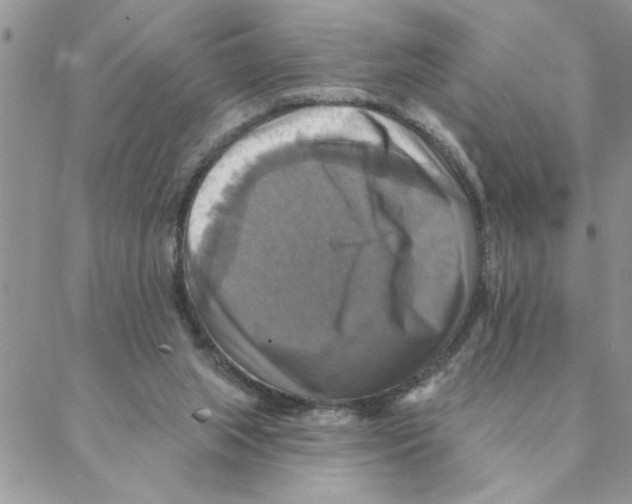 X0000088200063200706121751