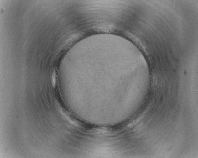 X0000088200069200706121751