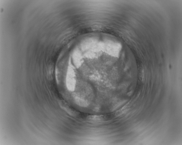 X0000088200082200706121751