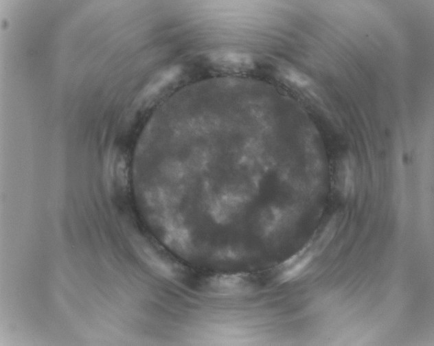 X0000088200086200706121751