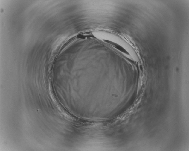 X0000088200097200706121750