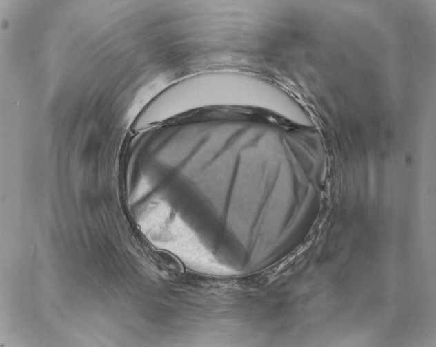 X0000088200099200706121750
