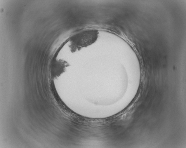 X0000088200103200706121750