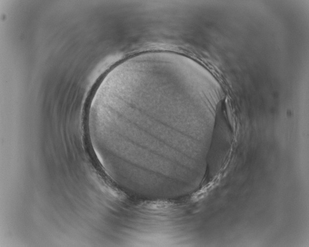 X0000088200104200706121750