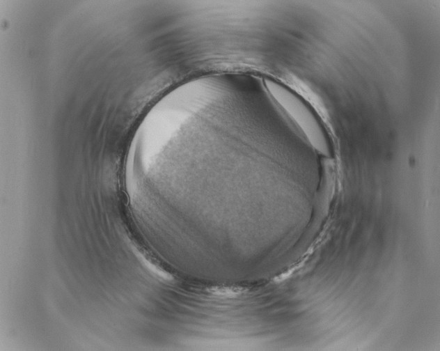 X0000088200105200706121750