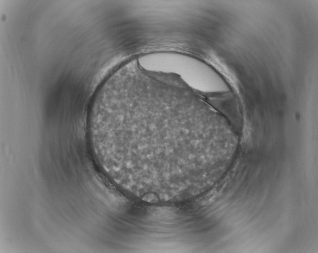 X0000088200107200706121750