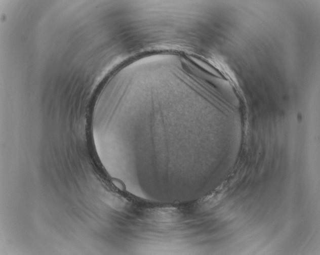 X0000088200108200706121750