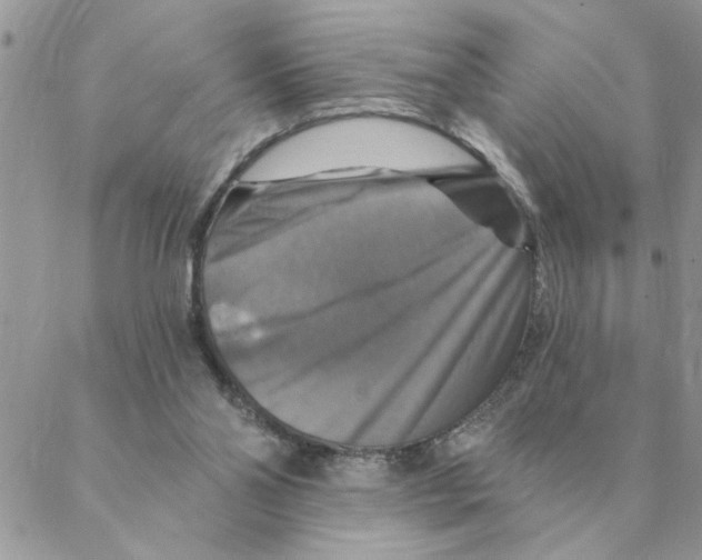 X0000088200110200706121750