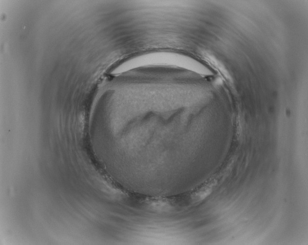 X0000088200113200706121750