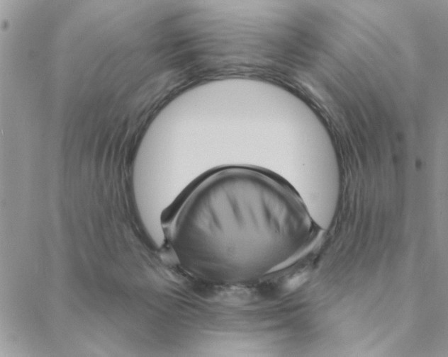 X0000088200125200706121750