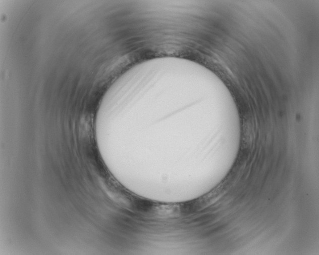 X0000088200126200706121750
