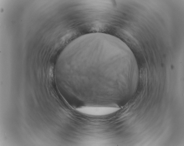 X0000088200127200706121750