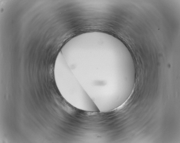 X0000088200144200706121750