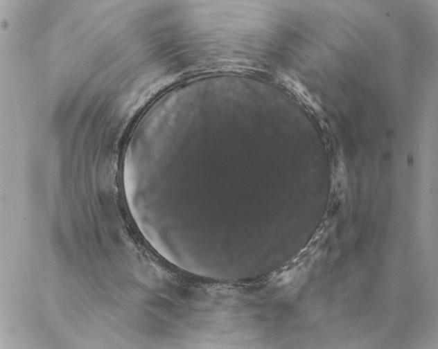 X0000088200146200706121749