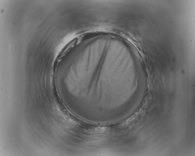 X0000088200152200706121749