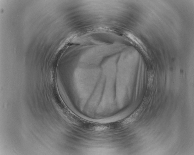 X0000088200158200706121749