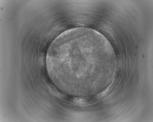 X0000088200174200706121749