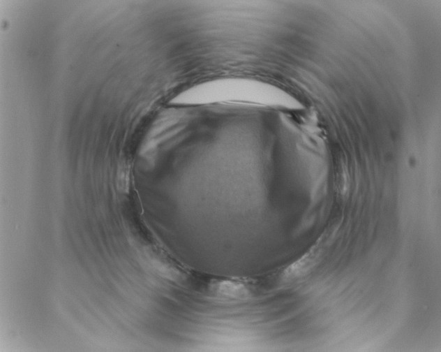 X0000088200180200706121749