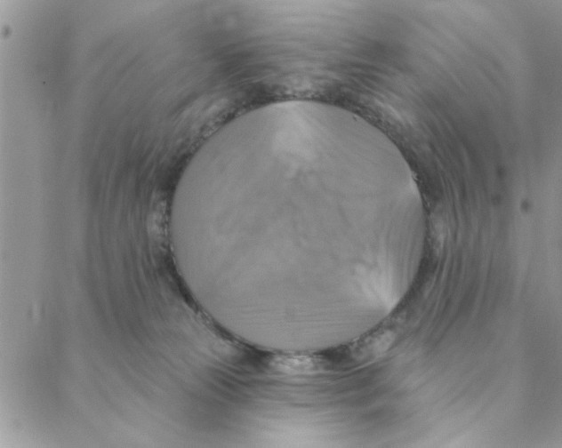 X0000088200181200706121749