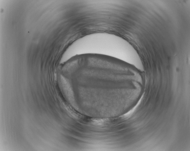 X0000088200190200706121750