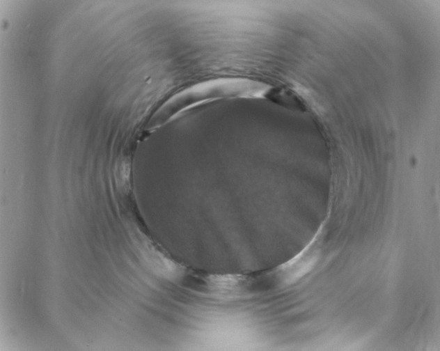 X0000088200192200706121750