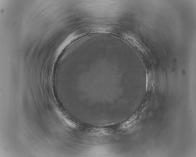 X0000088200195200706121749