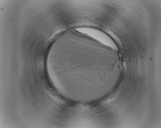 X0000088200207200706121749