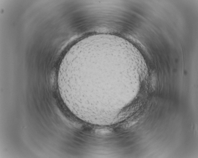 X0000088200208200706121749