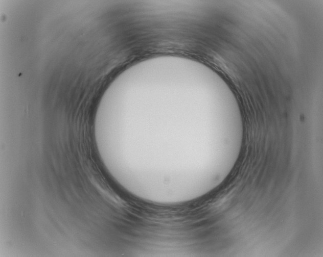X0000088200215200706121748