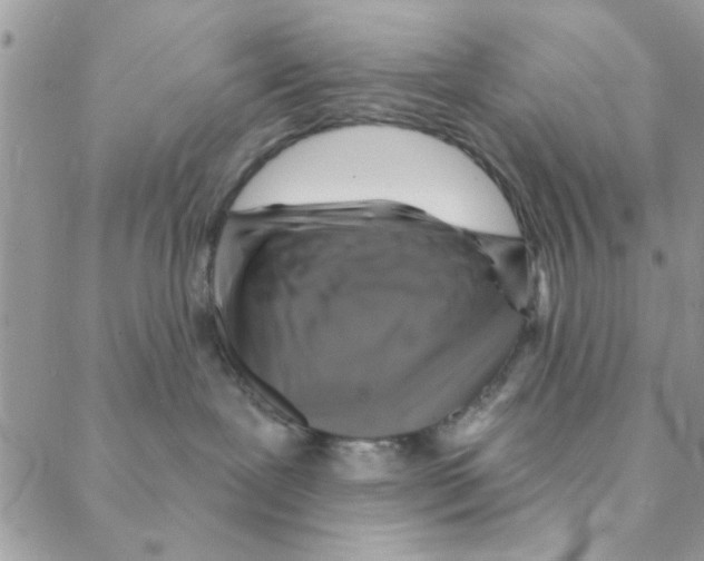 X0000088200239200706121748