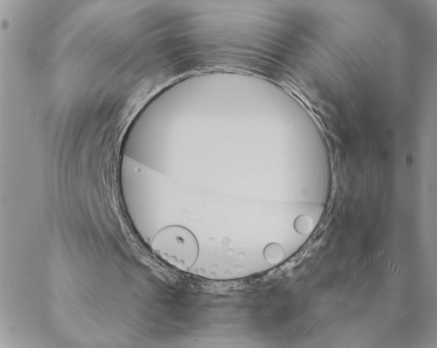 X0000088200241200706121747