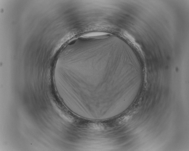 X0000088200250200706121747