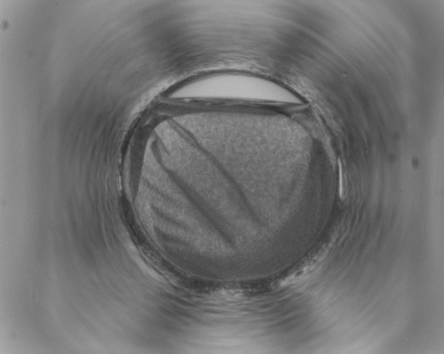 X0000088200252200706121747