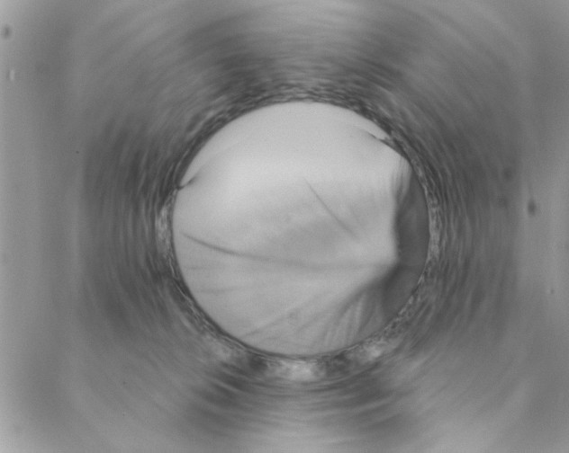 X0000088200276200706121748