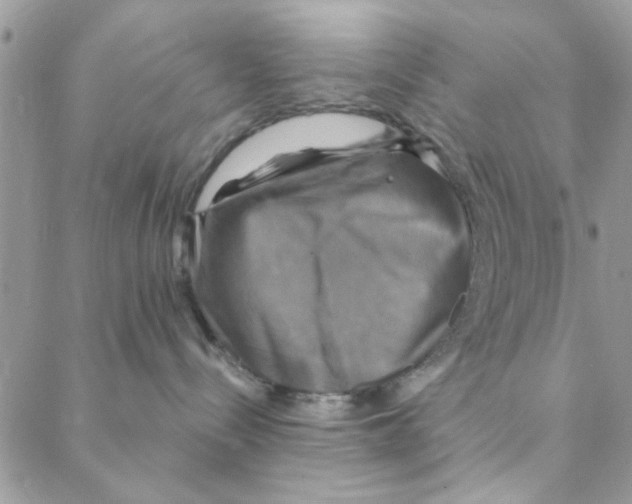 X0000088200288200706121748