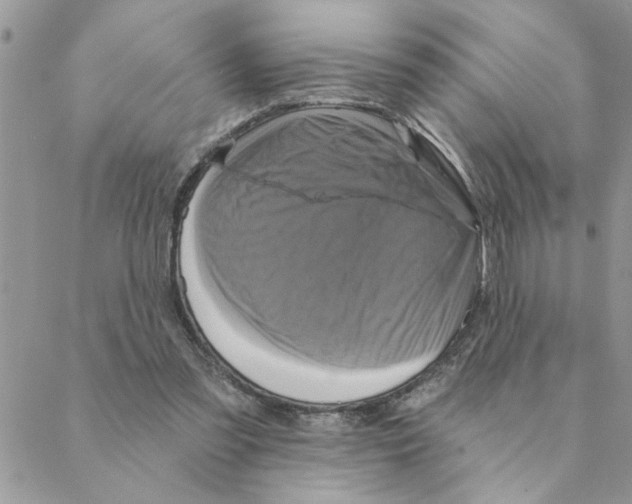 X0000088200301200706121747