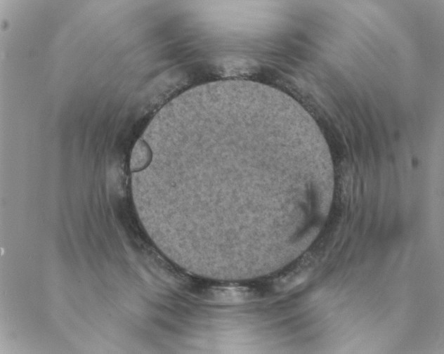 X0000088200316200706121747