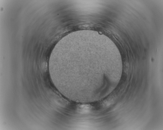 X0000088200324200706121747