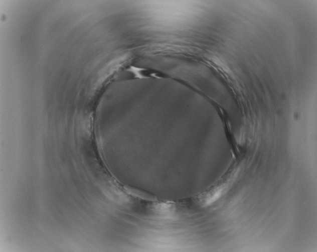 X0000088200325200706121747