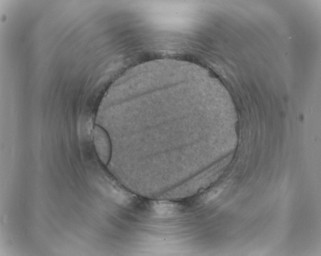 X0000088200336200706121747