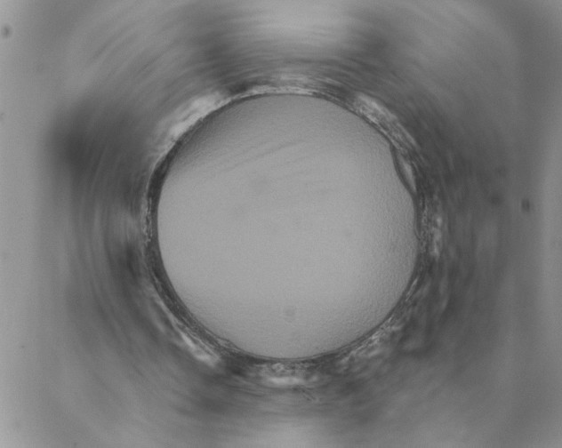 X0000088200338200706121746