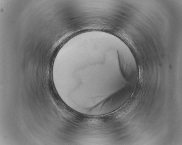 X0000088200348200706121746
