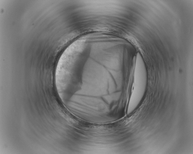 X0000088200349200706121746
