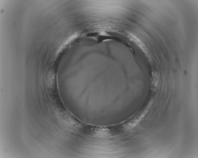 X0000088200355200706121746