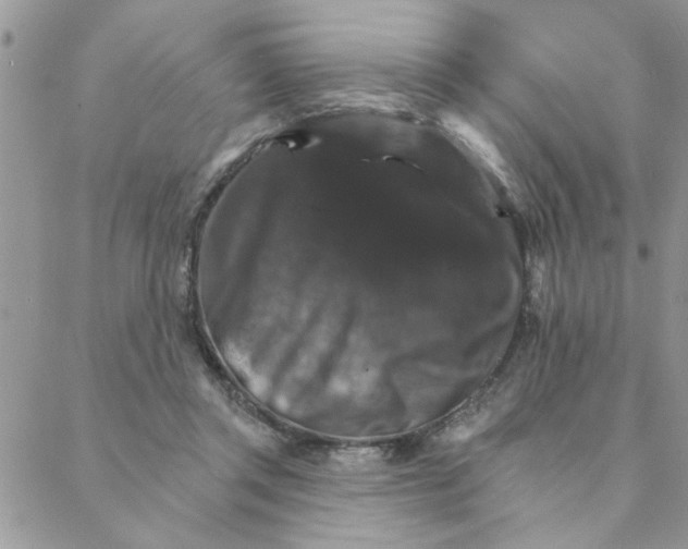 X0000088200357200706121746