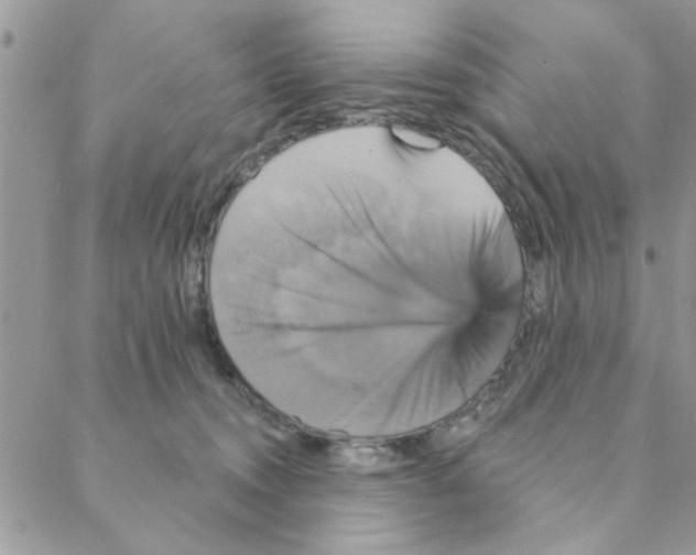 X0000088200372200706121746